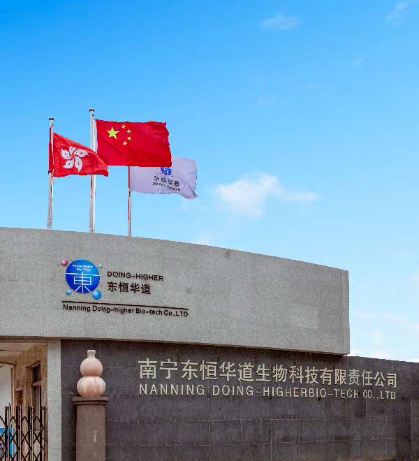 東恒華道概況